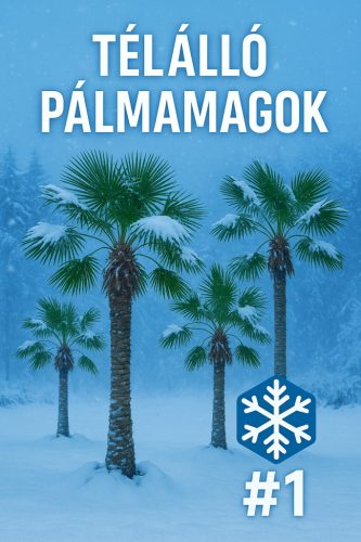 Winter-Hardy Palm Seed Pack #1