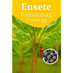 Ensete banánmag csomag