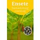 Ensete banánmag csomag