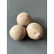 Cycas debaoensis seed
