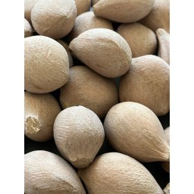 Cycas pectinata mag – 3 db/csomag, természetes állapotú