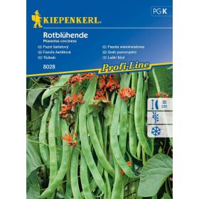 Tűzbab Rotblühende