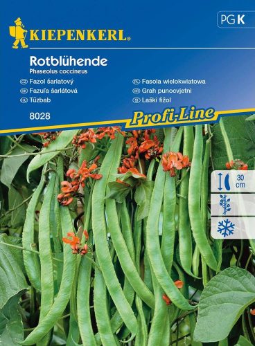 Scarlet Runner Bean Rotblühende