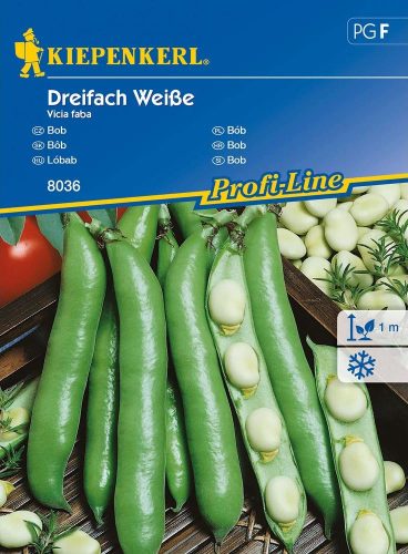 Bean Dreifach Weiße