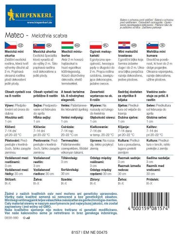 Mexikói datolyauborka Mateo