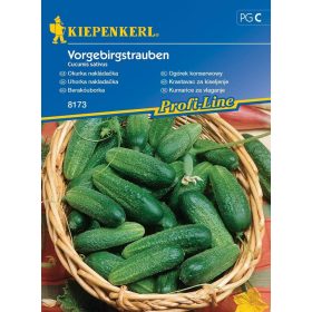 Berakóuborka Vorgebirgstrauben