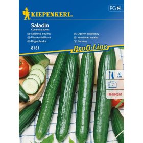 Kígyóuborka Saladin, F1