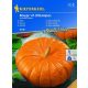 Pumpkin Rouge vif d'Etampes