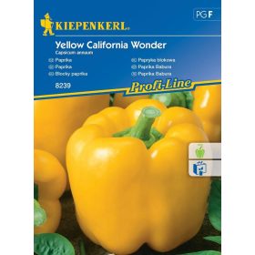 Blocky paprika Yellow California Wonder