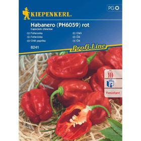 Chili paprika Habanero (PH6059) rot