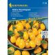 Cherry Tomato Yellow Pearshaped