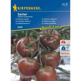 Salátaparadicsom Sacher