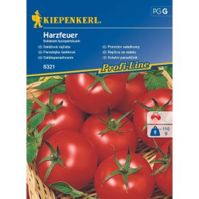 Salátaparadicsom Harzfeuer 