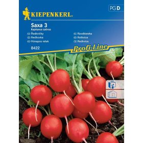 Hónapos retek Saxa 3