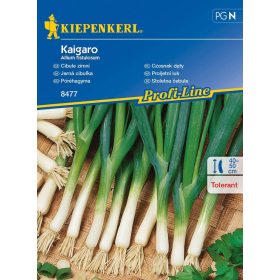 Kötözőhagyma Kaigaro