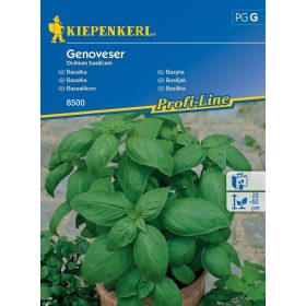 Bazsalikom Genoveser