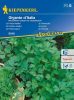 Parsley Gigante d'Italia
