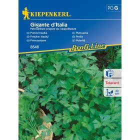 Petrezselyem Gigante d'Italia