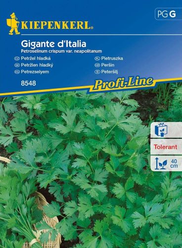 Parsley Gigante d'Italia