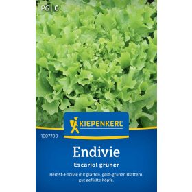 Endíviasaláta Escariol grüner