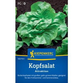 Fejes saláta Attraktion