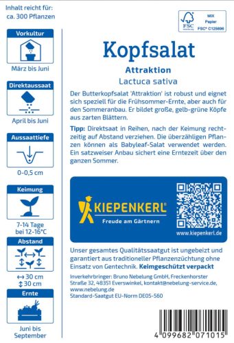 Fejes saláta Attraktion