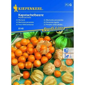 Perui földicseresznye (Kapstachelbere)