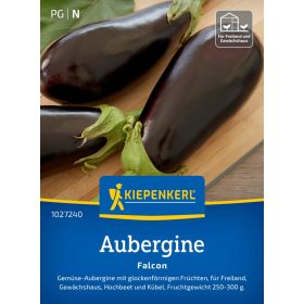 Padlizsán Falcon, F1