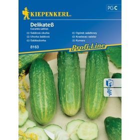 Uborka (saláta- és berakó) Delikateß