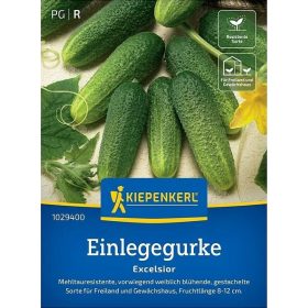 Berakóuborka Excelsior, F1