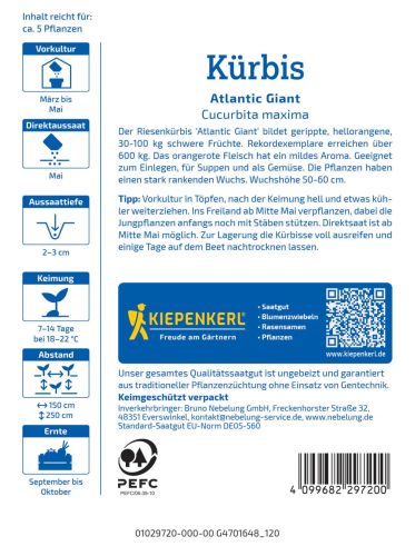 Sütőtök Atlantic Giant