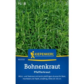 Egynyári borsikafű Pfefferkraut