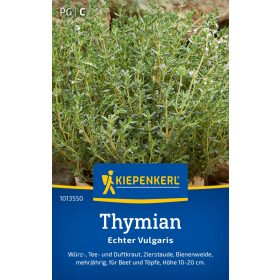 Kakukkfű Echter Vulgaris