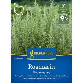 Rozmaring Mediterranea
