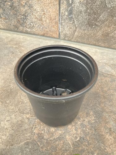 Round 10 cm plastic pot for seedlings